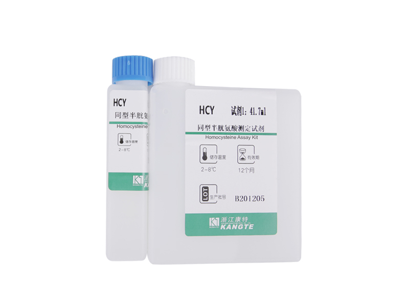 【HCY】Homocystein Assay Kit (Zirkulierende enzymatische Methode)
