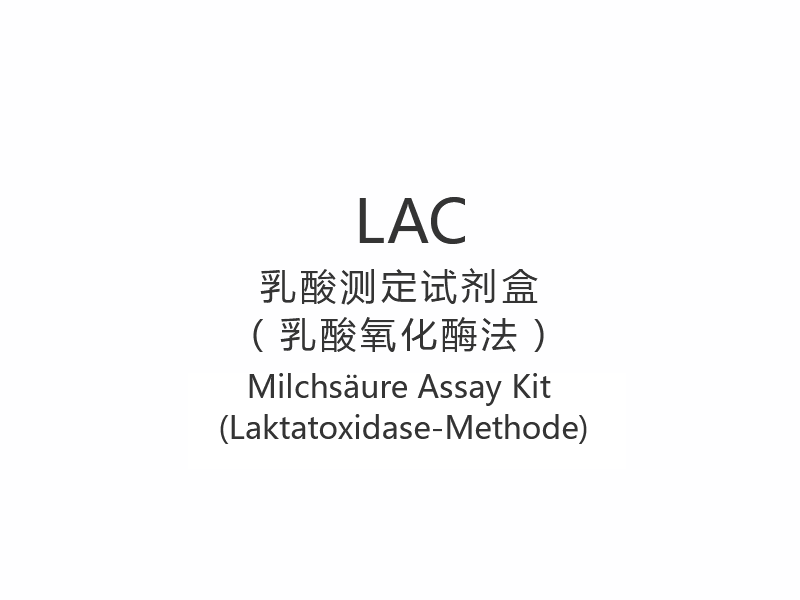【LAC】Milchsäure Assay Kit (Laktatoxidase-Methode)
