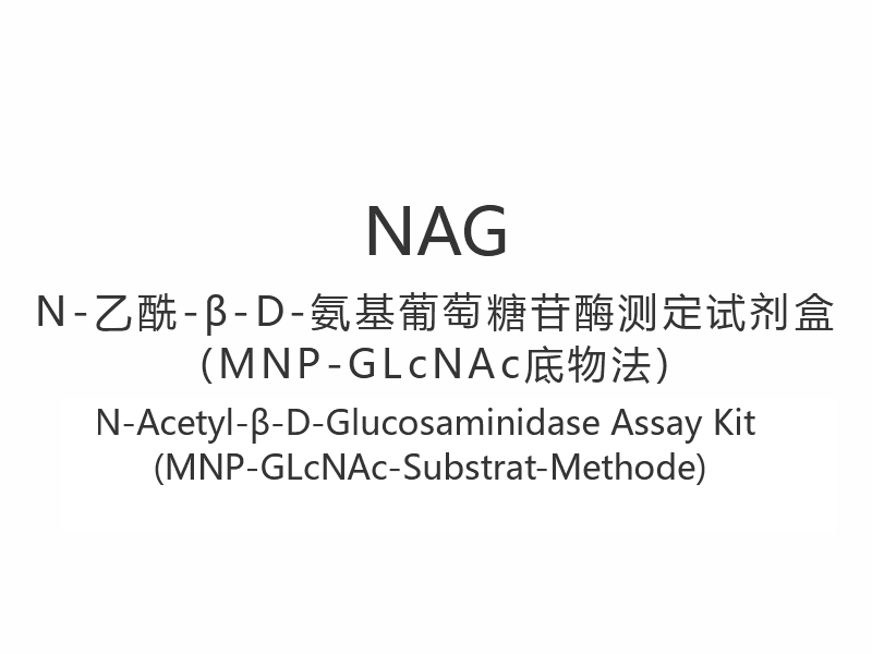 【NAG】N-Acetyl-β-D-Glucosaminidase Assay Kit (MNP-GLcNAc-Substrat-Methode)
