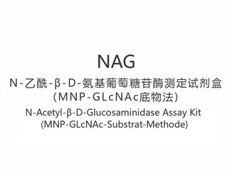 【NAG】N-Acetyl-β-D-Glucosaminidase Assay Kit (MNP-GLcNAc-Substrat-Methode)