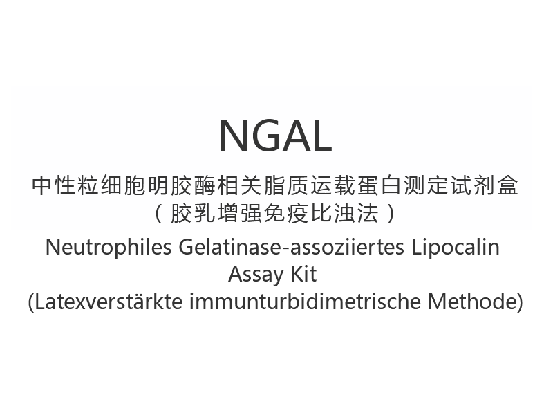 【NGAL】Neutrophiles Gelatinase-assoziiertes Lipocalin Assay Kit (Latexverstärkte immunturbidimetrische Methode)
